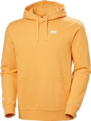 Helly Hansen Shoreline Hoodie
