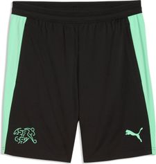 Puma SFV Training Shorts w/ Pockets Herren Laufshorts