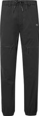 Picture Alpho Pants Herren Outdoorhose