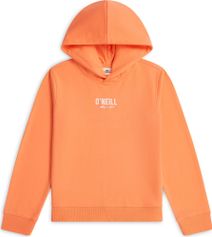O'Neill Essentials Hoodie