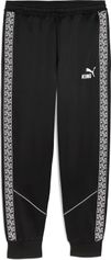 Puma Teamking Anthem Pants Herren Outdoorhose