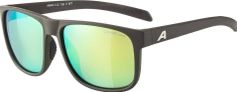 Alpina Nacan III Bike Brille