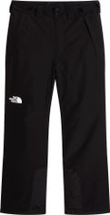 The North Face Mens Descendit Pant Herren Skihose