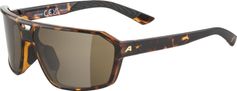 Alpina Swift Bike Brille