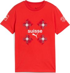 Puma SFV Ftblculture Tee Jr Jungen Laufshirt