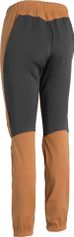 Daehlie Pants Power 2.0 Wmn Damen Langlaufhose