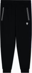 EA7 Train Premium Shield M Pants CH VI PL CC - Train Premium Shield M Pants CH VI PL CC Herren Lauf- & Trainingshose