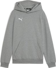 Puma Teamgoal Casuals Hoody Jr