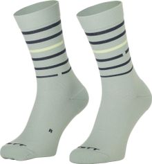 Scott Sock Rings Crew