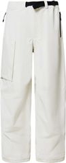 Oakley Channel Cargo Pant Herren Freeskihose