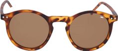 Trespass Elta - Sunglasses