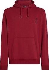 O'Neill Must-have Hoodie