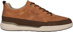 Whistler Alcoy M Shoe