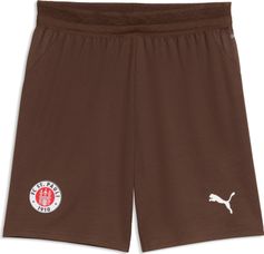 Puma Fcsp Shorts Replica Jr Outdoor Shorts