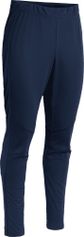 Daehlie Pants Raw 6.0 Herren Langlaufhose