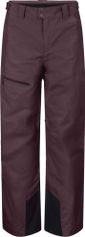 Scott Pants M's Ultimate Dryo 10 Herren Skihose