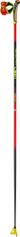 LEKI HRC max TR
