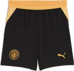 Puma Mcfc Shorts Replica Jr Outdoor Shorts