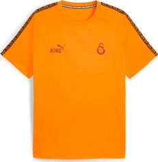 Puma GSK King Tee Herren Laufshirt