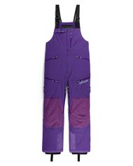 Spyder Sanction Bib Shell Pants Herren Freeskihose
