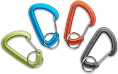 Black Diamond Micron Accssry Carabiner Small