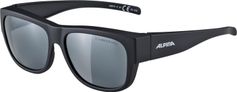 Alpina Overview II Bike Brille