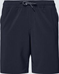 Oakley Transport Hybrd Packable Short 19 Outdoor Shorts