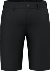 Salewa Fanes Light Shorts M Outdoor Shorts für Herren