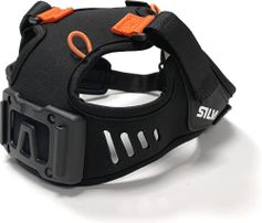Silva Ignite