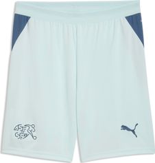 Puma SFV Shorts Replica Outdoor Shorts für Herren