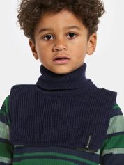 Didriksons Delfinen Scarf 2