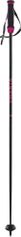 Völkl Phantastick Carbon Poles