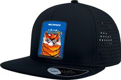 Crazy Cap BRO