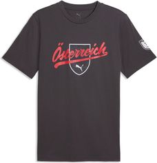 Puma öfb Ftblculture Tee Herren T-Shirt für sämtliche Outdoor Aktivitäten