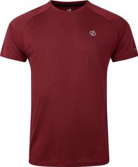 Dare2b Accelerate Tee Herren Laufshirt