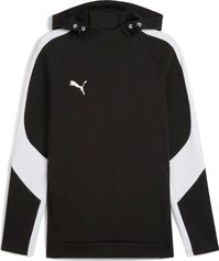 Puma Teamevostripe Hoody