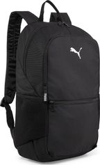 Puma Teamgoal Backpack With Ball net