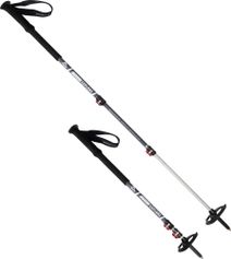 MSR Dynalock Explore Poles