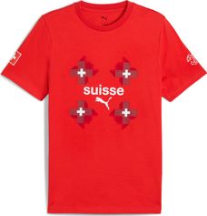 Puma SFV Ftblculture Tee Herren Laufshirt