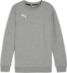 Puma Teamgoal Casuals Crew Neck Sweat Jr