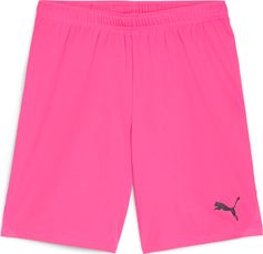 Puma Teamgoal Shorts Herren Laufshorts