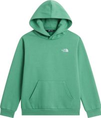 The North Face Teen Evolution Simple Dome Pullover Hood