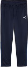 Puma Teamgoal Training Pant Wmn Damen Lauf- & Trainingshose