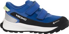 Viking Expower GTX 2V