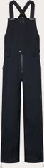 Oakley Unbound Gore-tex Shell Bib Herren Freeskihose