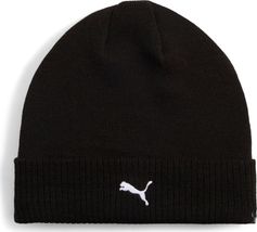 Puma Teamadditions Beanie