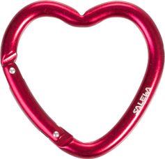 Salewa Heart Carabiner