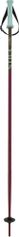 Völkl Phantastick Kids Poles