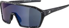 Alpina RAM Q-lite Bike Brille