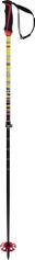 Völkl Phantastick FR Poles (adjustable)
